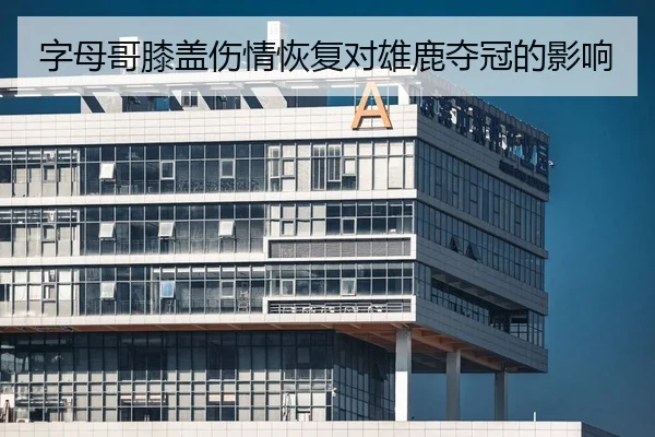 字母哥膝盖伤情恢复对雄鹿夺冠的影响